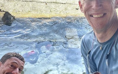 Day Eleven: The SEA People Diaries | By Greg Johannes