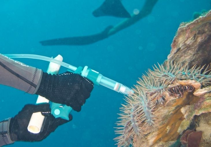 Threats To Coral Reefs Climate Threats To Coral Reefs Climate Pollution Raja Ampat