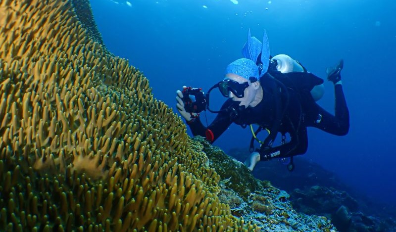 GregDiving | The SEA People Diaries