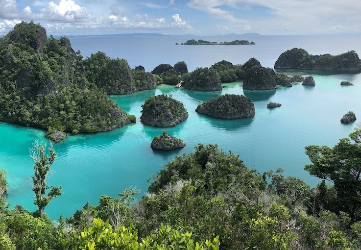 Fam Islands MPA Marine Protected Area Raja Ampat | The SEA People | Conservation Raja Ampat
