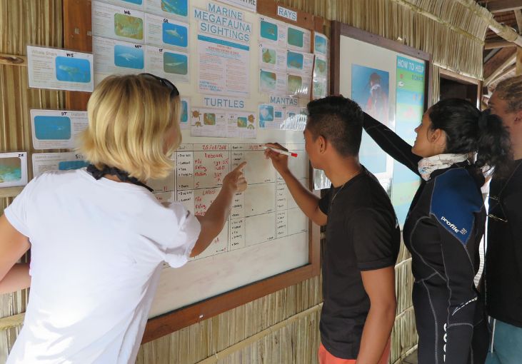 Reef Encounters - Megafauna Monitoring Citizen Science Raja Ampat The SEA People