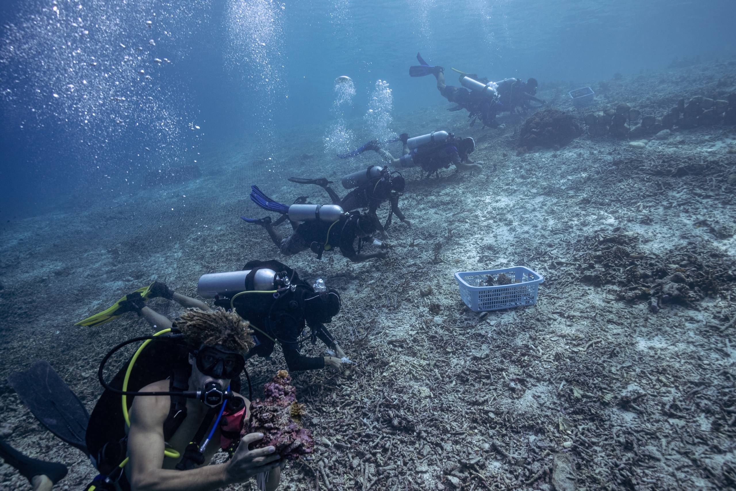 Yaf Keru Yenbekwan Reef Restoration Raja Ampat Conservation The SEA People