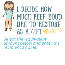 Yaf Keru Reef Restoration Raja Ampat The SEA People Orang Laut Papua