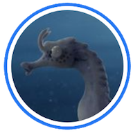 The-Lost-Seahorse-Film-Raja-Ampat
